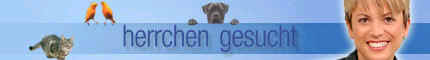 Tierschutzverein Santorini e.V. bei Herrchen gesucht ...